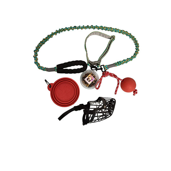 pack  pour chien 5 pièces