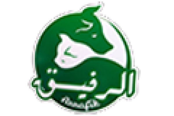 arrafik الرفيق